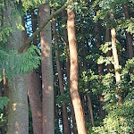 Photo n°4 de l'avis de Petra.e fait le 17/09/2023 à 19:59 sur le  Bungis Am Grimnitzsee - Bungalows direkt am See, nahe Berlin in der Schorfheide. à Joachimsthal