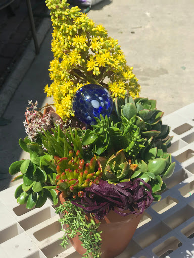 Gift Shop «Little Shop of Flowers», reviews and photos, 1655 W Grand Ave, Grover Beach, CA 93433, USA