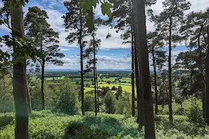 Corbet Wood Countryside Heritage Site image