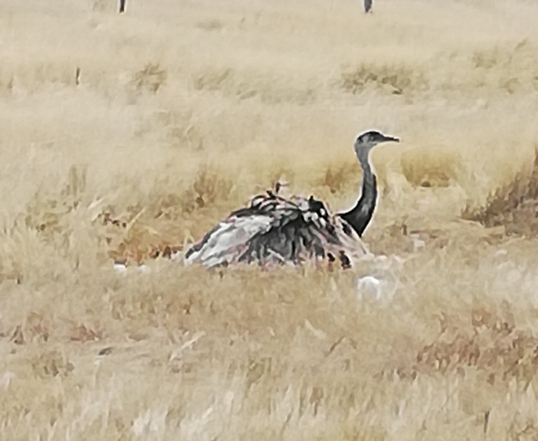 Photo n° 31 de l'avis de Severine.e fait le 23/08/2019 à 23:18