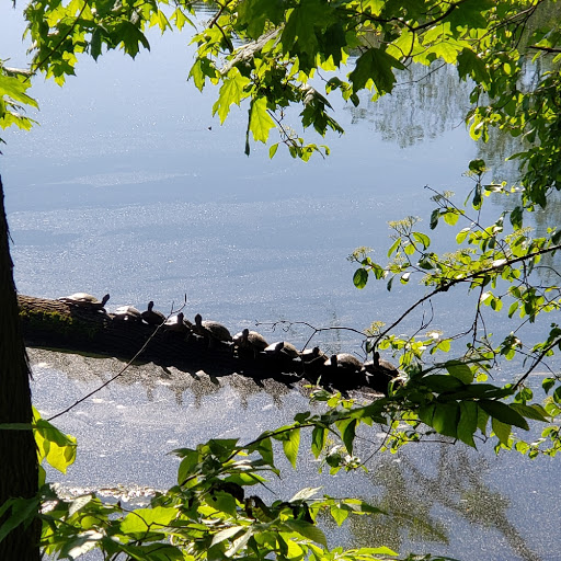 Park «Cumberland Park», reviews and photos, 592 S 1st St, Nashville, TN 37213, USA