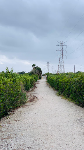 Nature Preserve «Mobbly Bayou Wilderness Preserve», reviews and photos, 423 Lafayette Blvd, Oldsmar, FL 34677, USA