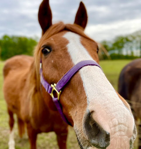 Modern Art Museum «Solomon R. Guggenheim Museum», reviews and photos, 1071 5th Ave, New York, NY 10128, USA
