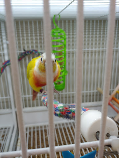 Pet Supply Store «Pet Supplies Plus», reviews and photos, 4121 Buffalo Rd, Erie, PA 16510, USA