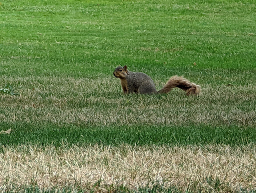 Golf Club «Lawrence Park Golf Club», reviews and photos, 3700 E Lake Rd, Erie, PA 16511, USA