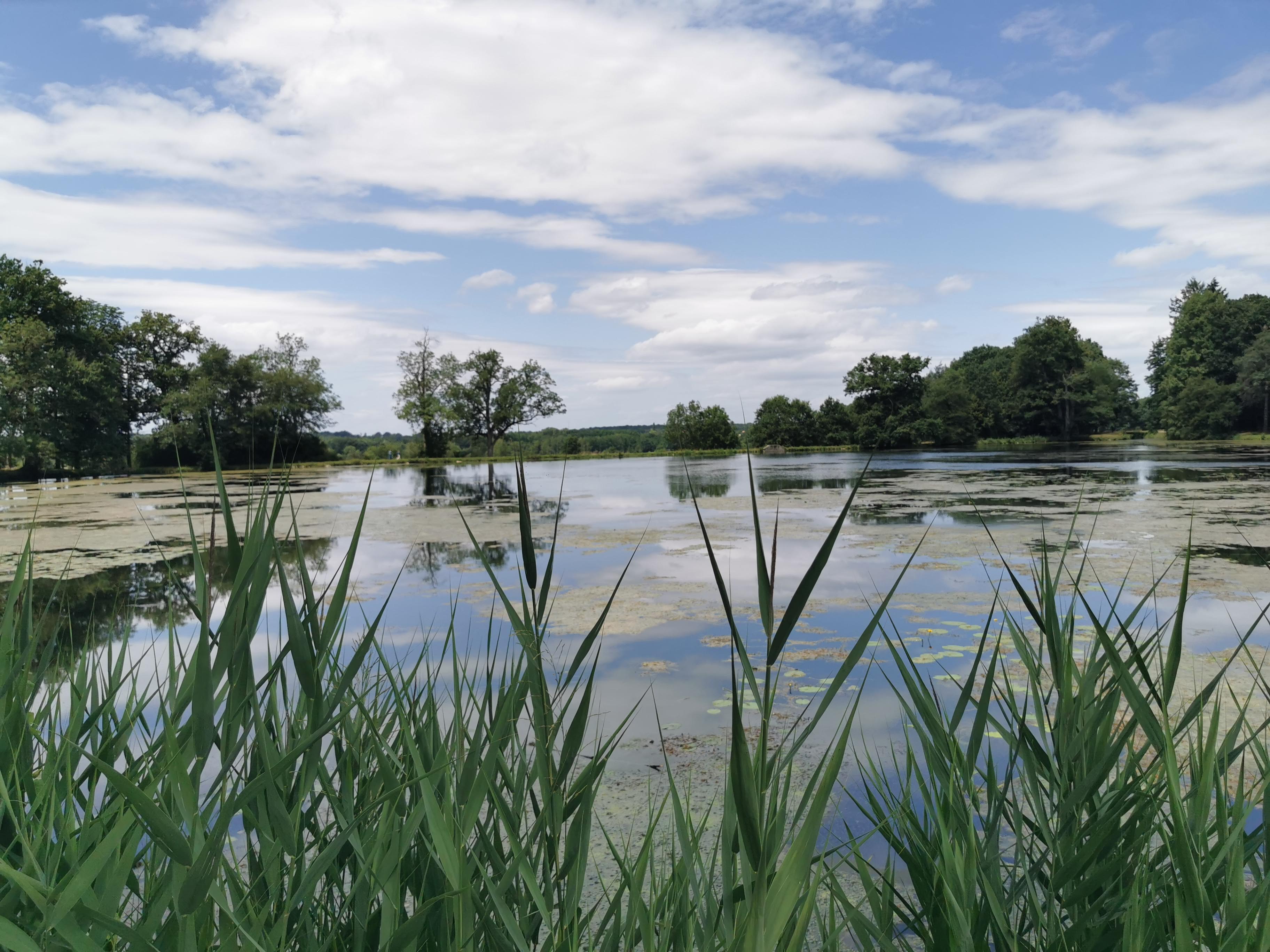 Photo n° 5 de l'avis de Cocoye.e fait le 05/08/2023 à 10:45