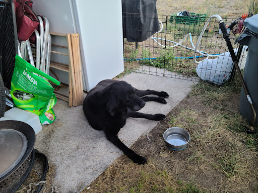 Riverton Veterinary Clinic image