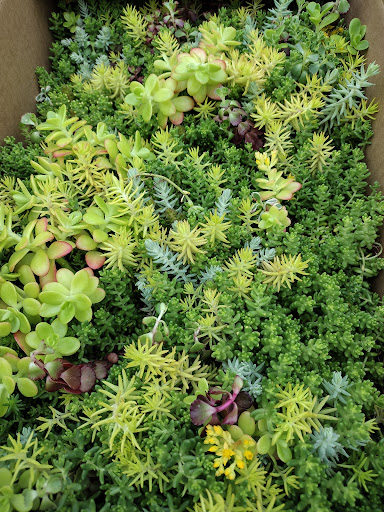 Garden Center «Riverview Tree & Landscaping, Inc.», reviews and photos, 3049 Pricetown Rd, Temple, PA 19560, USA