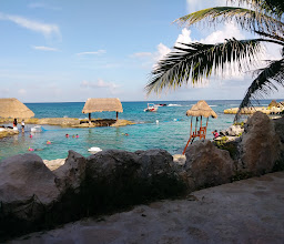 Delphinus Xcaret photo