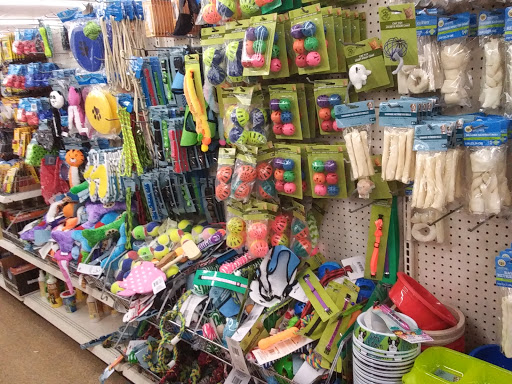 Dollar Store «Dollar Tree», reviews and photos, 224 A Eglin Pkwy NE, Fort Walton Beach, FL 32547, USA