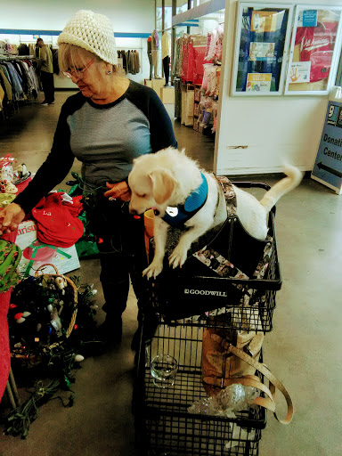 Thrift Store «Goodwill», reviews and photos, 557 N Azusa Ave, West Covina, CA 91791, USA