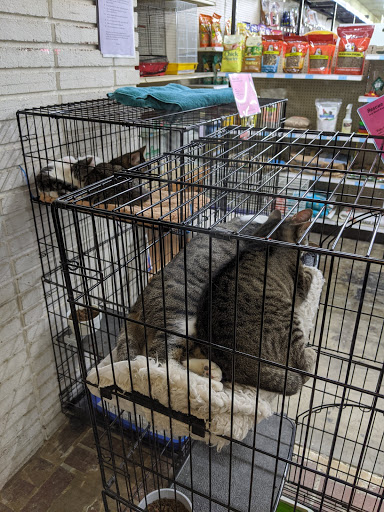 Pet Supply Store «Paw Shoppe Pet Center», reviews and photos, 6416 E Spring St, Long Beach, CA 90815, USA