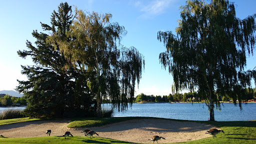Golf Course «Lakeridge Golf Course», reviews and photos, 1218 Golf Club Dr, Reno, NV 89519, USA