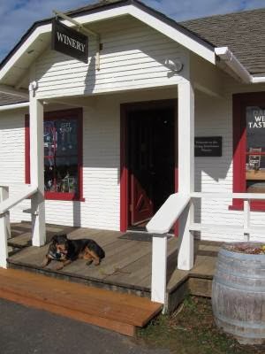 Winery «Flying Dutchman Winery», reviews and photos, 915 1st St, Otter Rock, OR 97369, USA