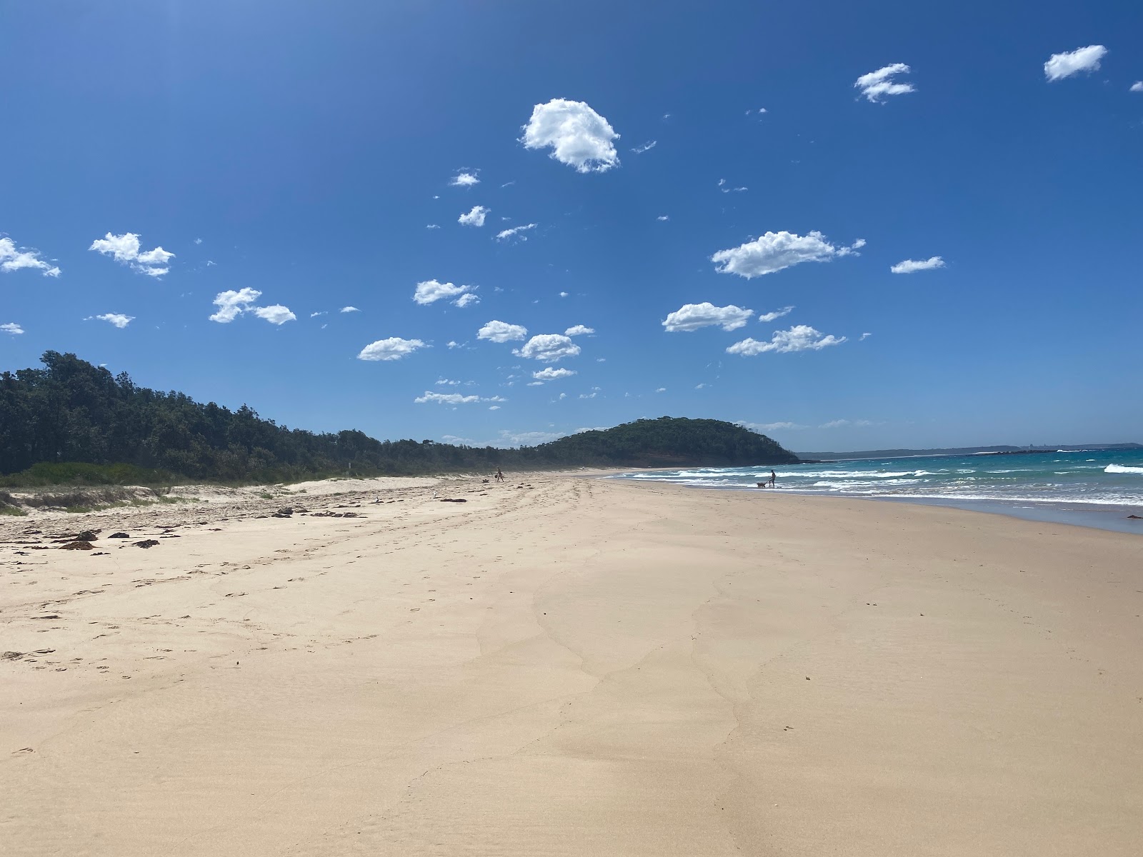 Foto de Narrawallee Beach - lugar popular entre os apreciadores de relaxamento