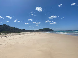 Zdjęcie Narrawallee Beach położony w naturalnym obszarze