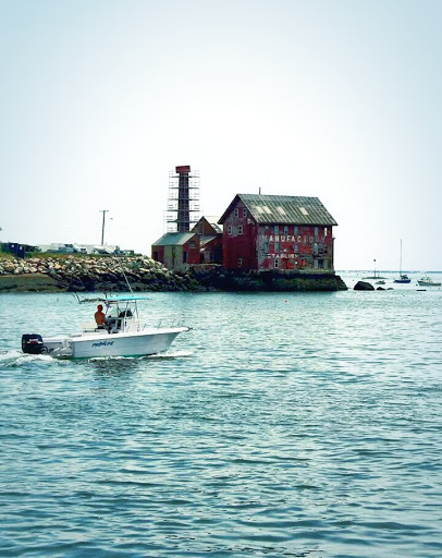 Cruise Agency «Capt. Bill & Sons Whale Watch», reviews and photos, 24 Harbor Loop, Gloucester, MA 01930, USA