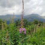 Photo n°2 de l'avis de Simona.a fait le 30/06/2022 à 17:03 sur le  Over Wing Bar à Callabiana
