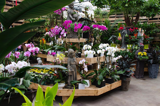 Florist «QG Floral & Landscape», reviews and photos, 154-10 Cross Island Pkwy, Whitestone, NY 11357, USA