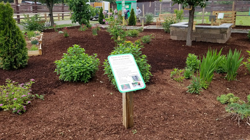 Zoo «Lupa Zoo», reviews and photos, 62 Nash Hill Rd, Ludlow, MA 01056, USA