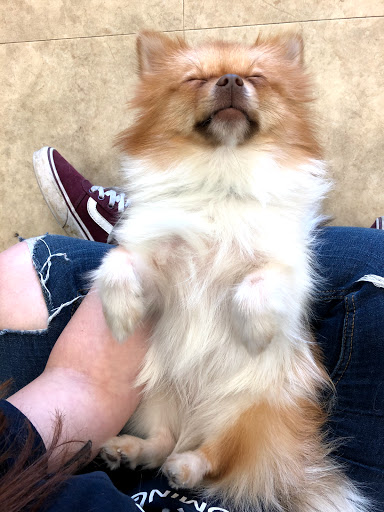 Pet Supply Store «Petco Animal Supplies», reviews and photos, 7400 Rivers Ave z, North Charleston, SC 29406, USA