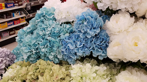 Craft Store «Michaels», reviews and photos, 8851 Veterans Memorial Blvd, Metairie, LA 70003, USA