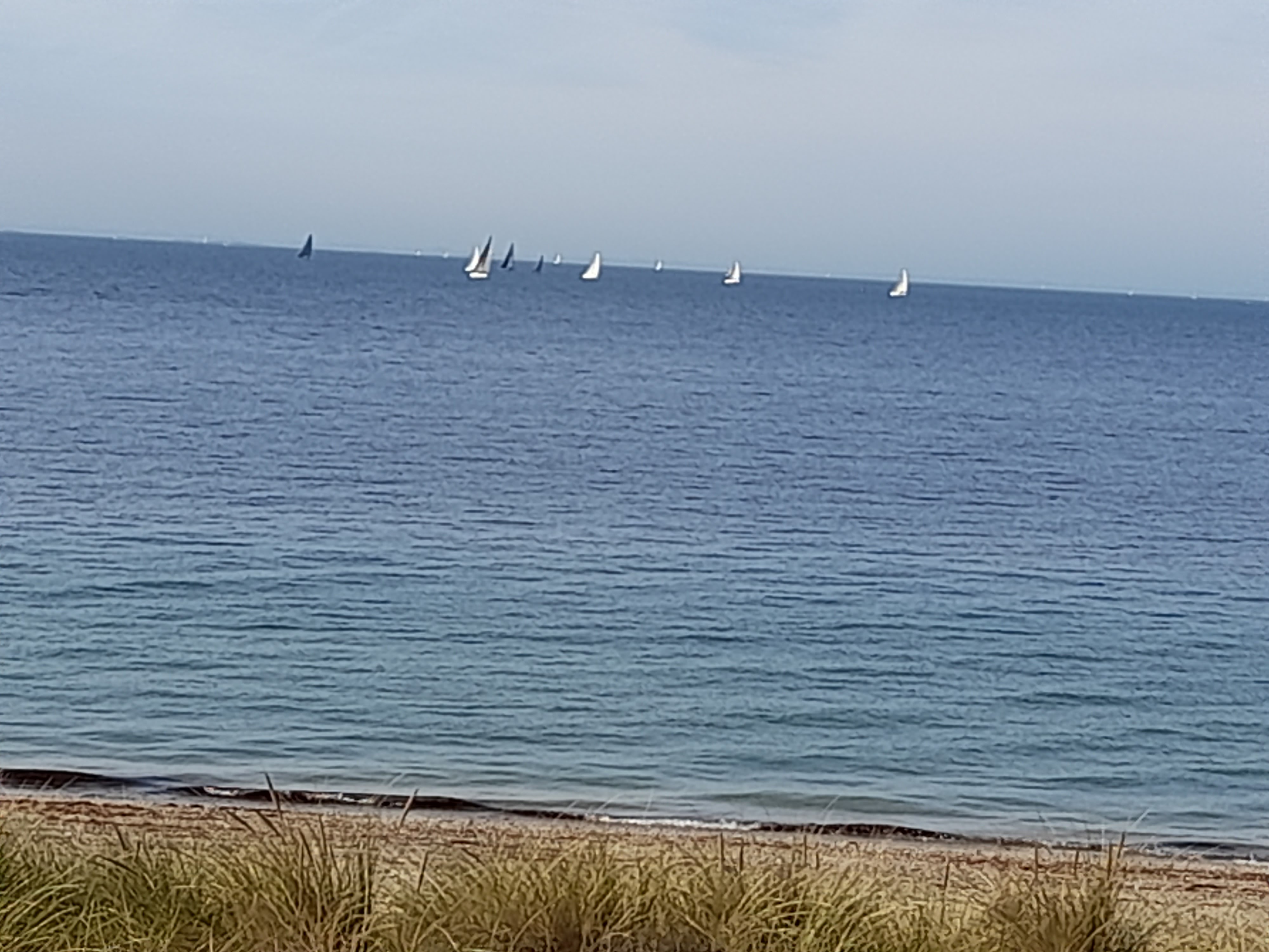 Photo n° 5 de l'avis de menouar.e fait le 26/10/2023 à 12:01