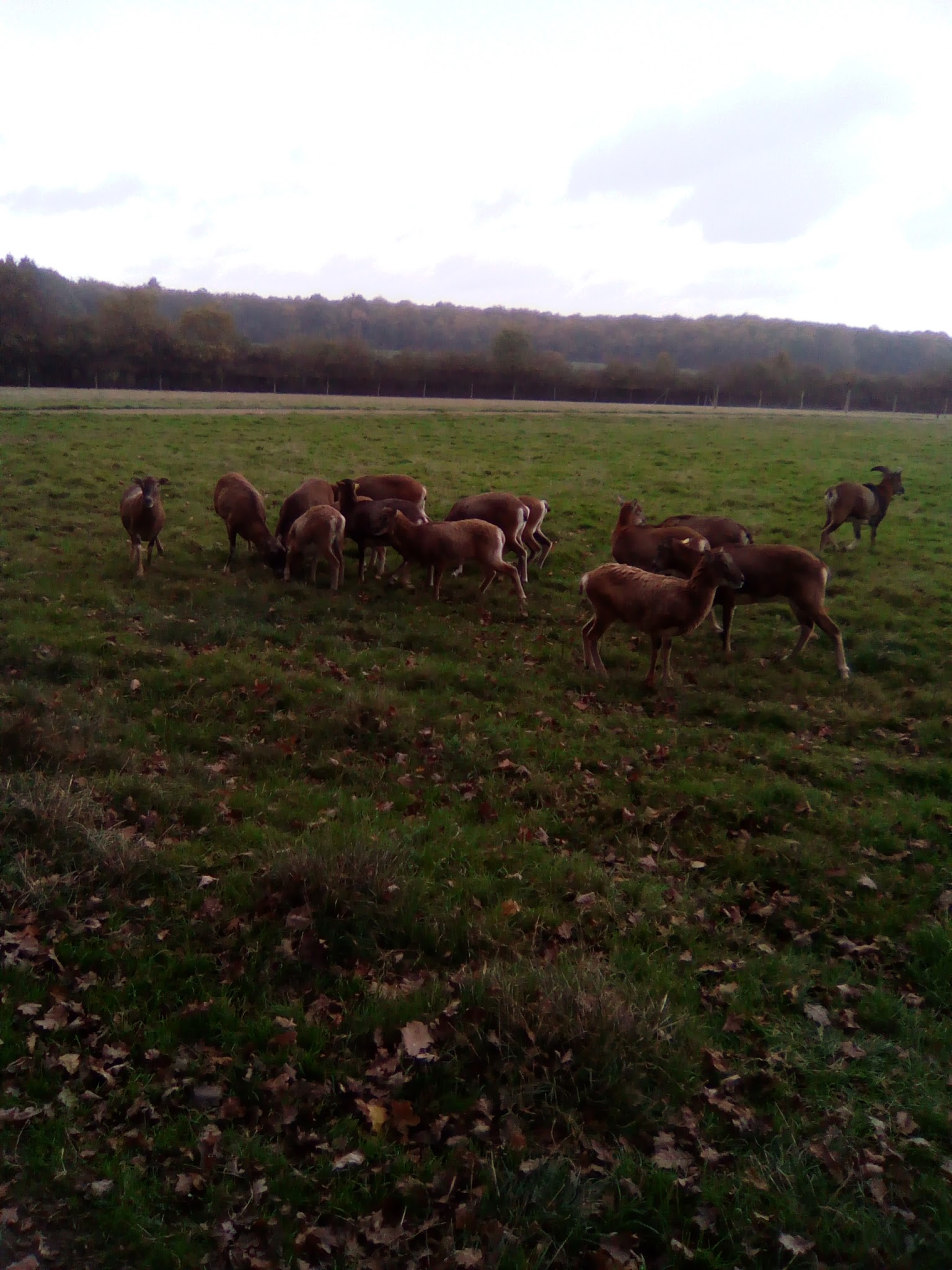 Photo n° 3 de l'avis de ingrid.v fait le 04/11/2017 à 19:49