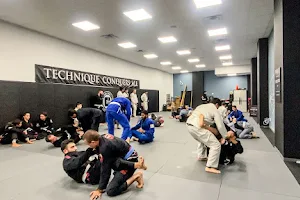 JAO Martial Arts Academy/Caio Terra Brazilian Jiu Jitsu NY image