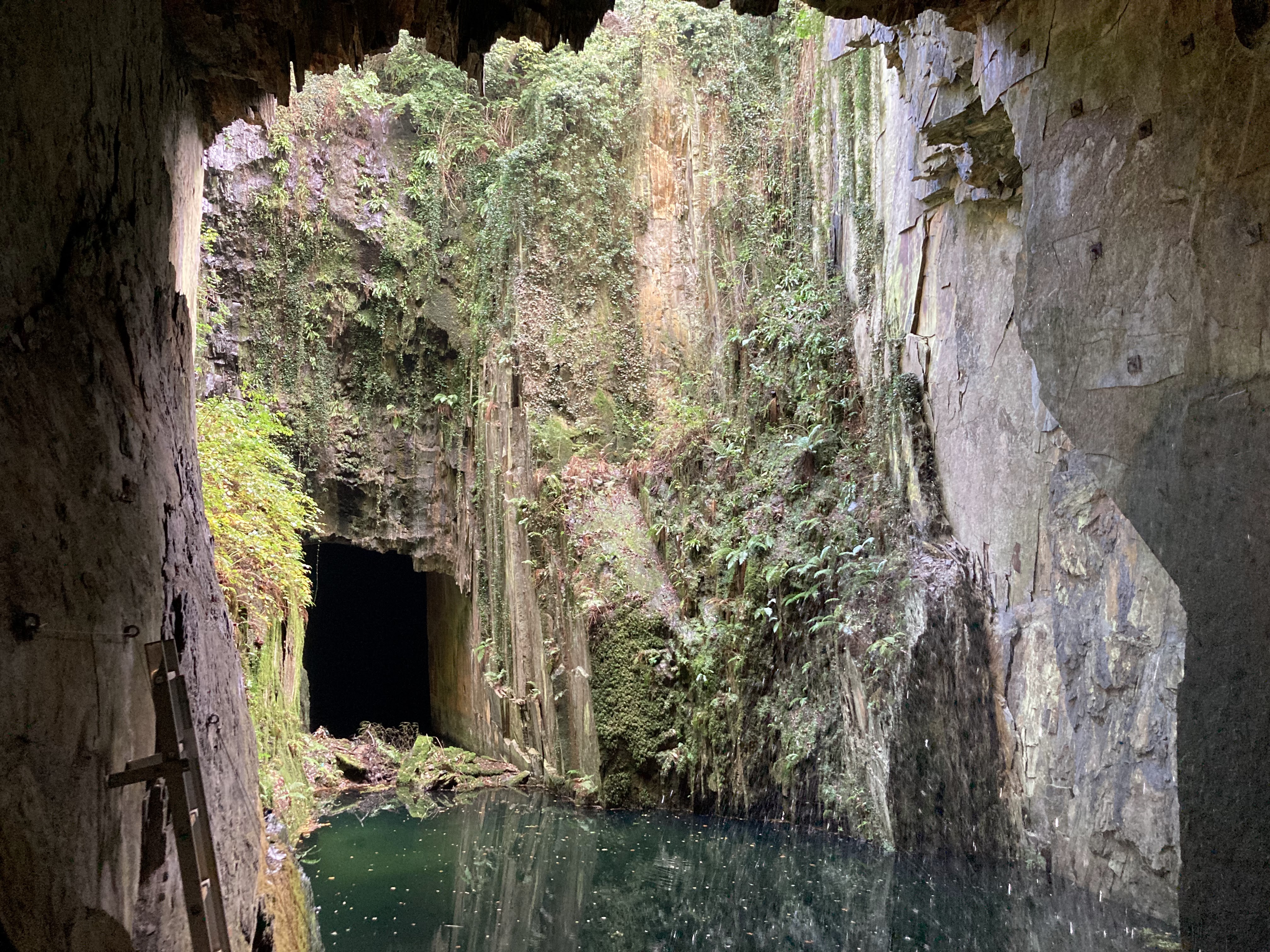 Photo n° 1 de l'avis de Table.c fait le 25/10/2023 à 12:02