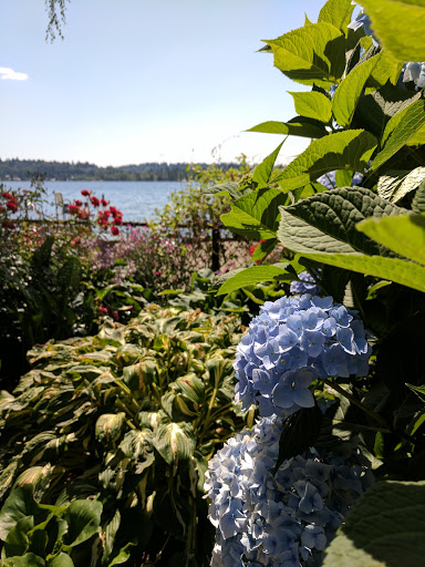 Park «Chism Beach Park», reviews and photos, 9600 SE 11th St, Bellevue, WA 98004, USA