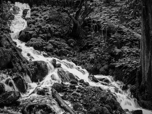 Tourist Attraction «Wahkeena Falls», reviews and photos, Wahkeena Trail #420, Corbett, OR 97019, USA