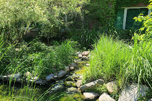 Michigan State University Radiology Healing Gardens