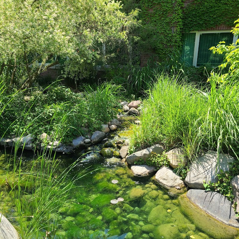 Michigan State University Radiology Healing Gardens