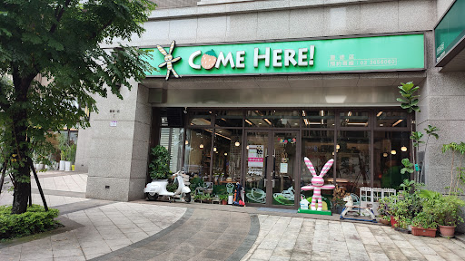 Come Here豐德店 的照片