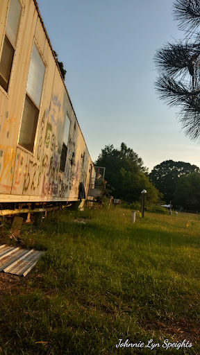 Bicycle Store «Mid City Bikes», reviews and photos, 2560 Government St, Baton Rouge, LA 70806, USA