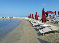 Photo de Palm beach protégé par des falaises