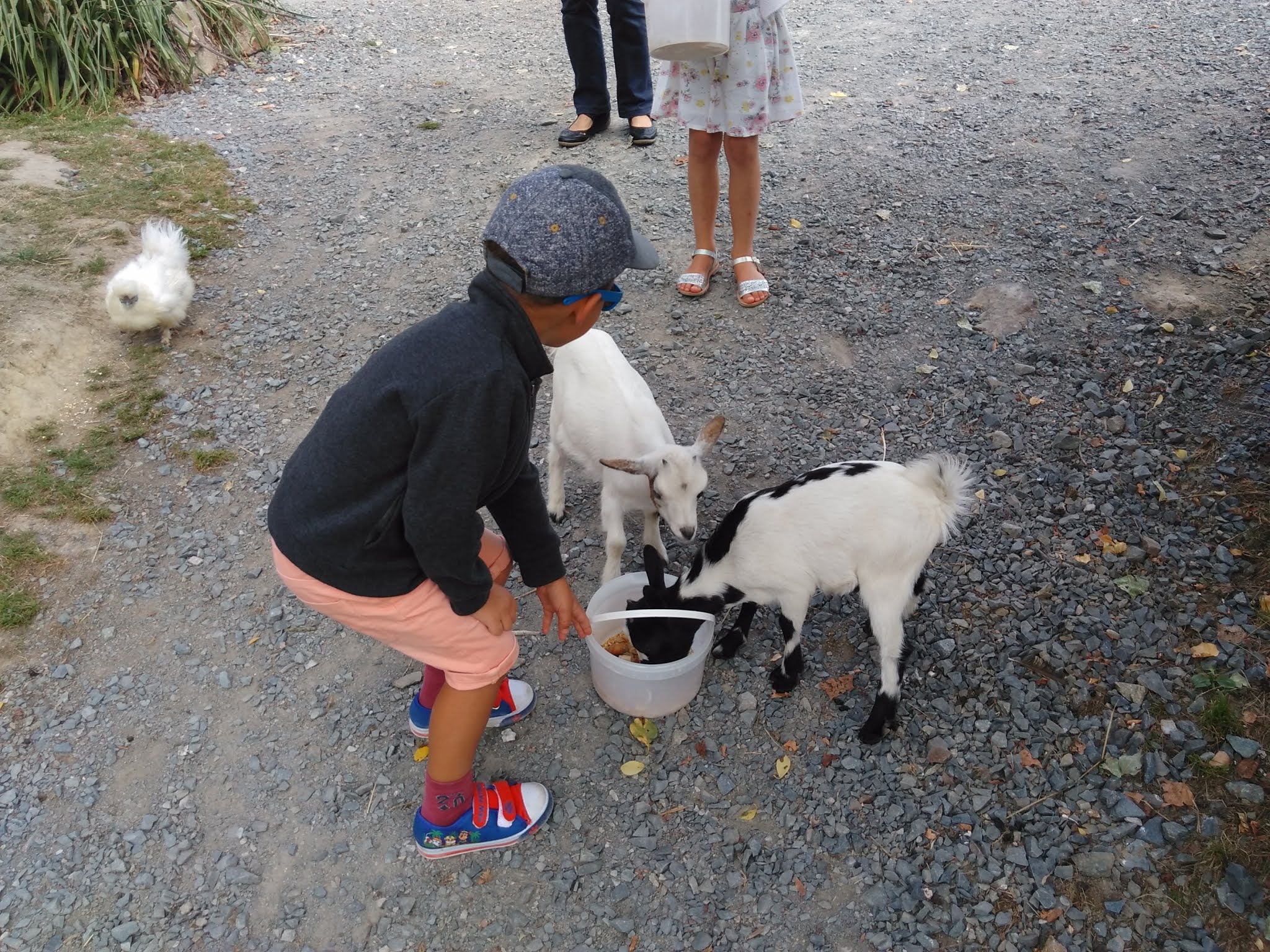 Photo n° 1 de l'avis de Jmc. fait le 30/05/2018 à 12:16