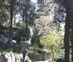 Museo de Ciencias Naturales photo