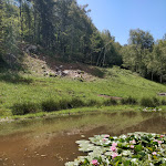 Photo n°15 de l'avis de Ragnar.o fait le 08/08/2020 à 10:50 sur le  Rifugio Monte Poieto à Aviatico