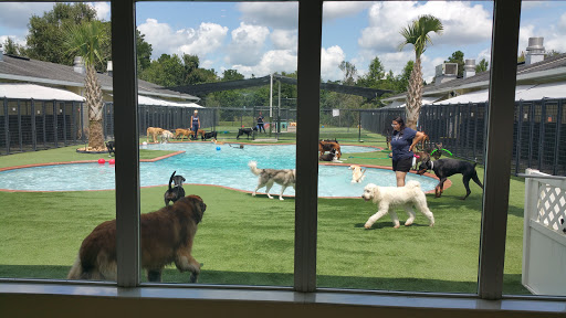 Pet Paradise Gainesville