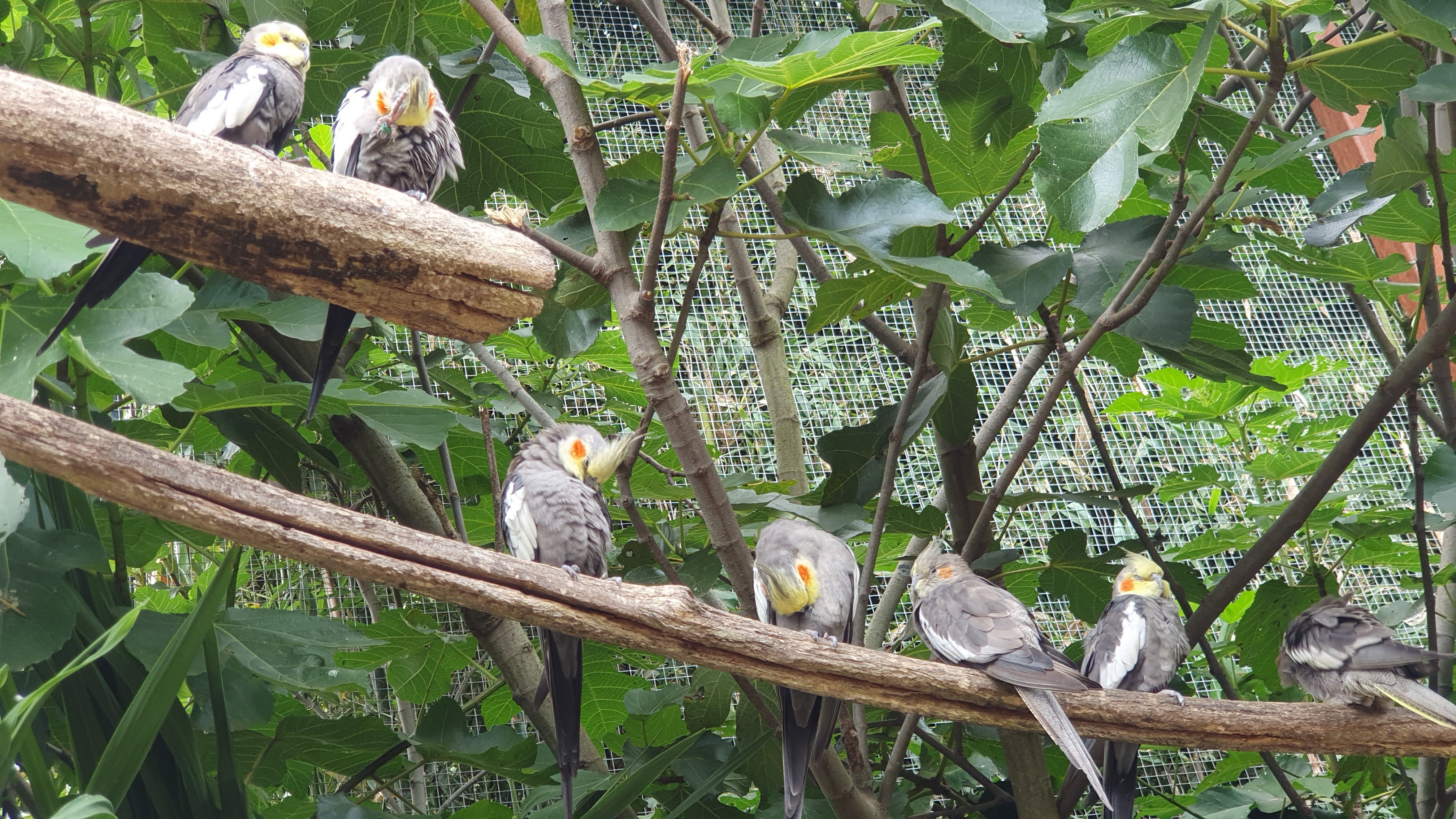 Photo n° 7 de l'avis de Jeremy.i fait le 14/08/2023 à 19:48