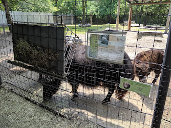 Jardin Zoologique De Granby