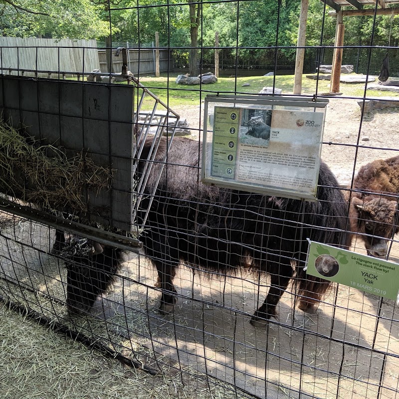 Jardin Zoologique De Granby