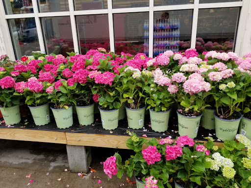 Grocery Store «Super Stop & Shop», reviews and photos, 80 Birdsall Rd, Baldwin Place, NY 10505, USA