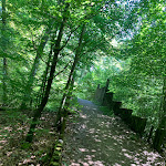Photo n° 2 de l'avis de Sergent_.C fait le 24/06/2023 à 15:24 pour Parc de loisirs de la forêt de Haye à Bois-de-Haye