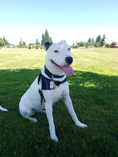 Park «Kandle Park», reviews and photos, 2323 N Shirley St, Tacoma, WA 98407, USA