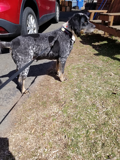 Pet Supply Store «Petco Animal Supplies», reviews and photos, 101 Hale Rd, Manchester, CT 06042, USA