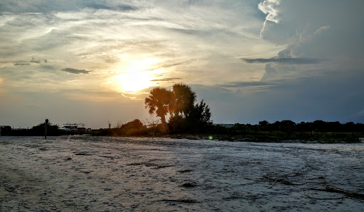 Park «Live Oaks Park», reviews and photos, 904 14th St, Port Royal, SC 29935, USA