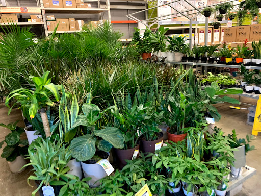 Home Improvement Store «The Home Depot», reviews and photos, 1055 N Colony Rd, Wallingford, CT 06492, USA